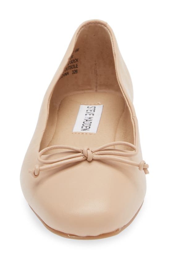 Steve Madden Women's Auden Ballet Pumps | Sports Direct