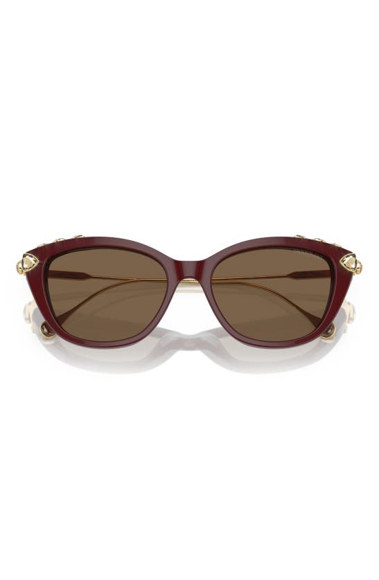 Shop Swarovski 53mm Cat Eye Sunglasses In Dark Brown