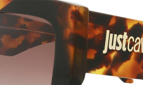 Just Cavalli 53mm Square Sunglasses In Havana Havana Brown