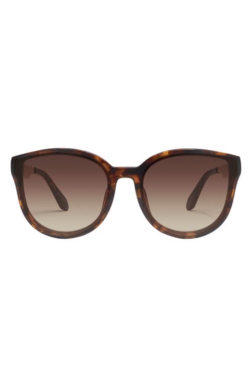 Date Night 54mm Round Sunglasses in Neutral Tortoise /Brown