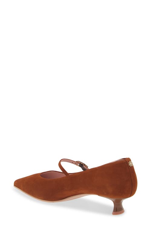Naot Rosalie Pointed Toe Pump In Brown Suede