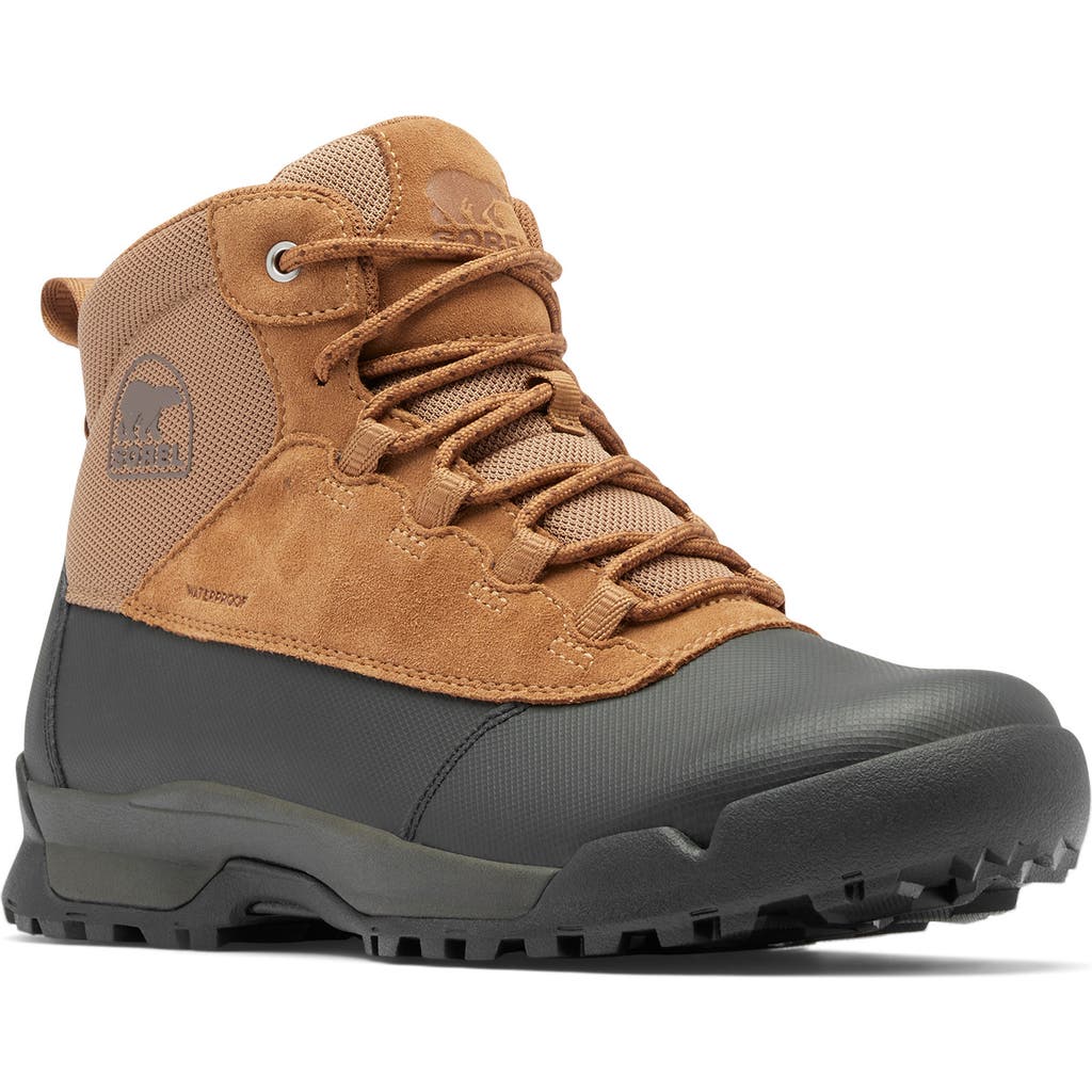 Sorel Buxton Lite Lace In Elk/black