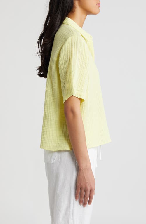 Eileen Fisher Classic Collar Shirt In Citrus