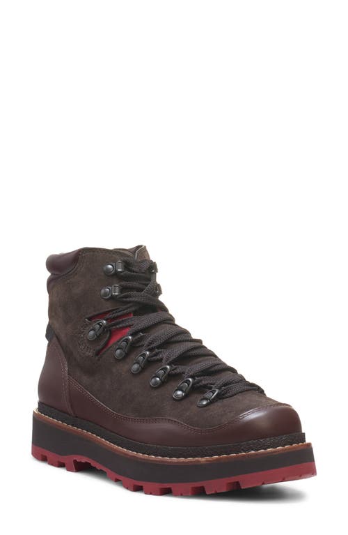 Moncler Peka Trek Hiking Boot In Peat