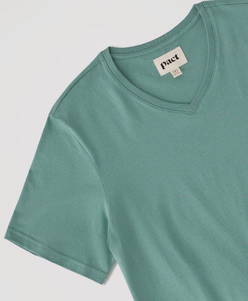 PACT PACT ORGANIC SOFTSPUN V-NECK TEE 