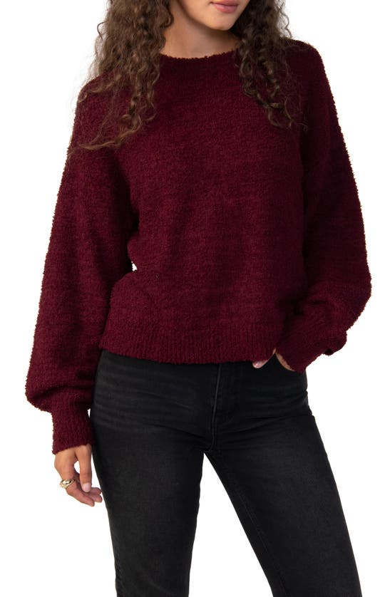 Sanctuary Plush Crewneck Sweater In Dchr