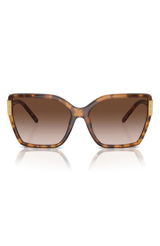 Shop Tory Burch 58mm Eleanor Square Sunglasses In Tortoise