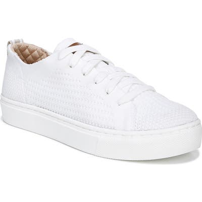 Dr. Scholl