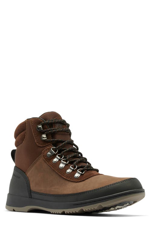 Shop Sorel Ankeny Ii Waterproof Hiking Boot In Tobacco/black