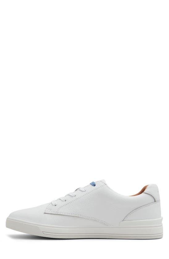 Ted Baker Brentford Sneaker In White