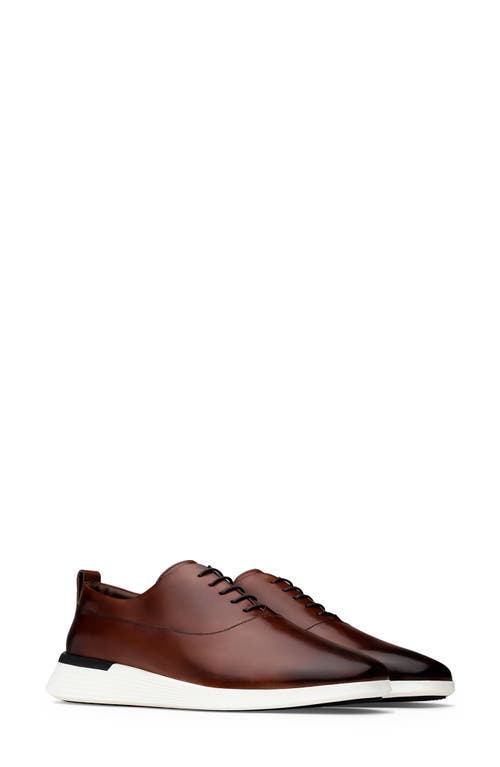 Crossover Longwing Plain Toe Oxford in Maple /White
