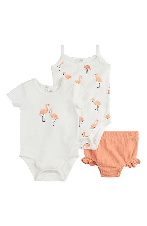 Shop Petit Lem Flamingo 2-pack Bodysuits & Ruffle Bloomers Set In Off White