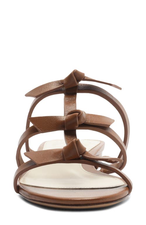 Shop Alexandre Birman Slim Lolita Slide Sandal In Espresso