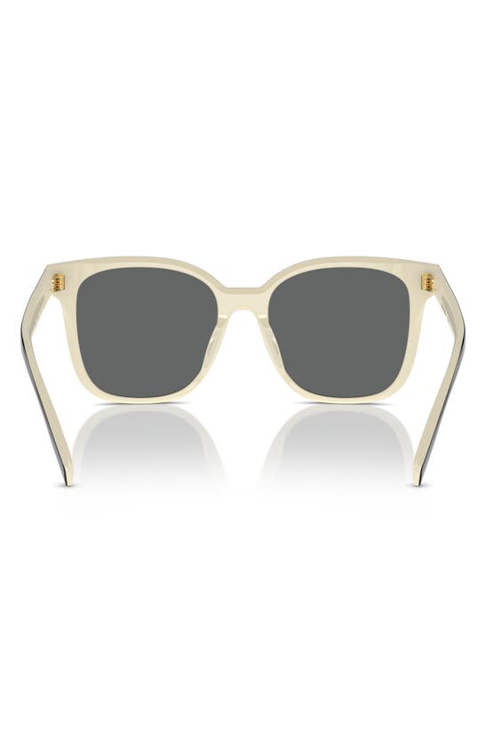 Tory Burch Women's Thin Miller 53mm Square Sunglasses In Black/ Ivory