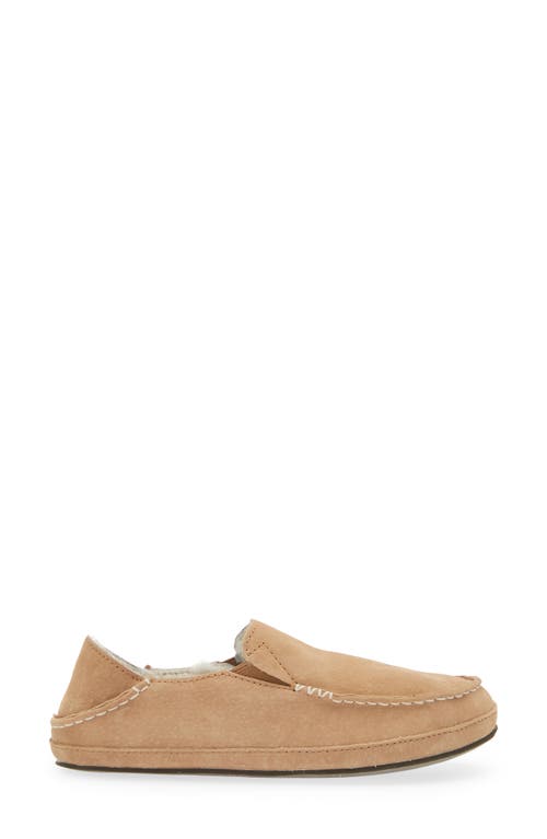 Shop Olukai Nohea Nubuck Slipper In Tan/tan