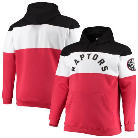 OUTERSTUFF Youth Toronto Raptors Outerstuff Logo Essential Statement Hoodie