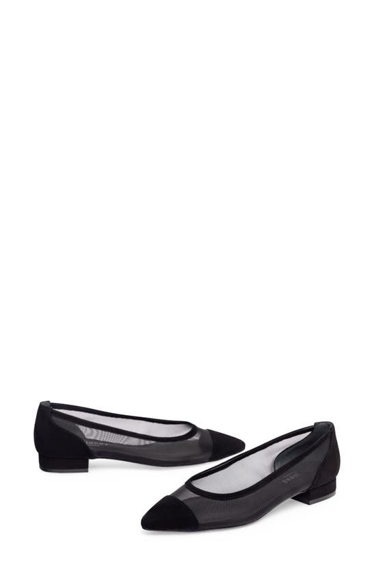 Shop Jon Josef Ray Pointed Toe Flat In Black Suede Combo