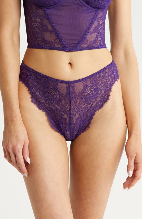 High Cut Mesh & Lace Briefs in Violet