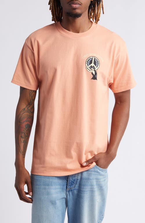 Peace Delivery Graphic T-Shirt in Citrus