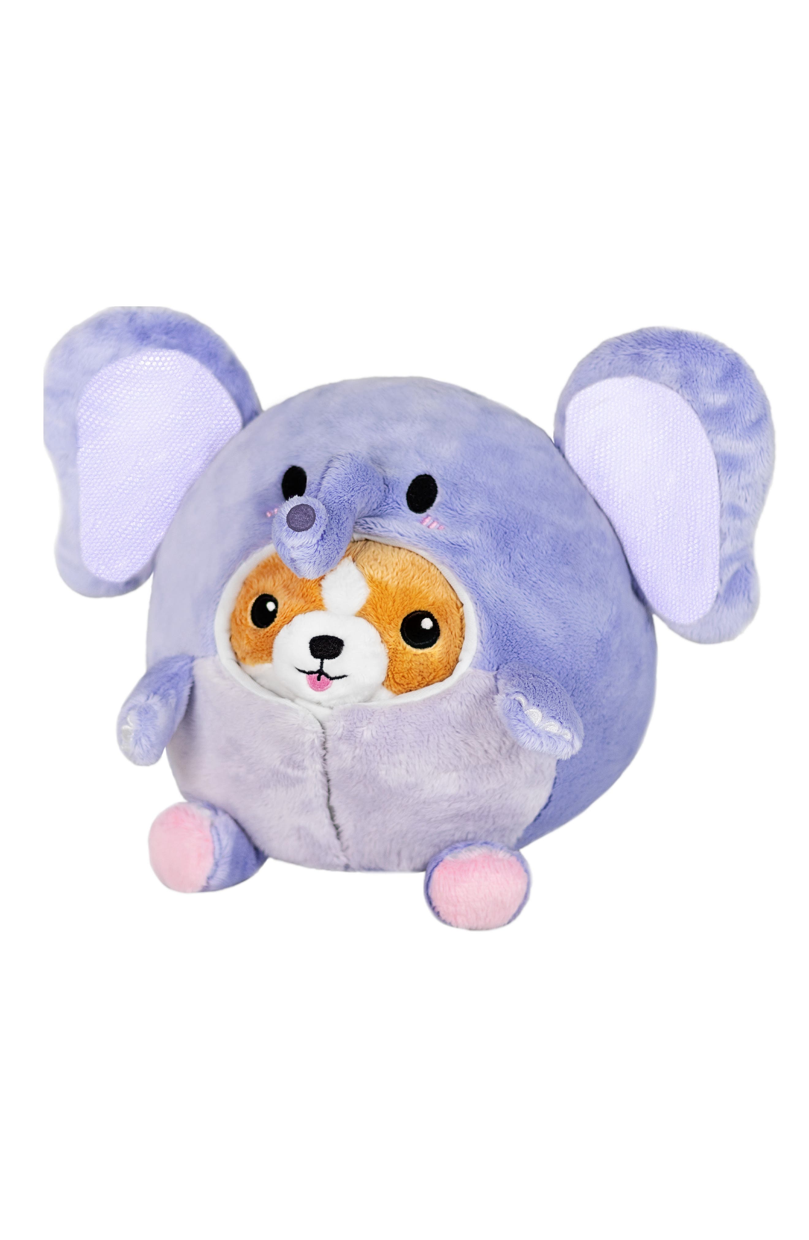 squishable corgi