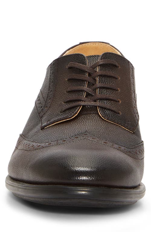 Vince Camuto Ckarl Wingtip Derby In Dark Coffee Minsco