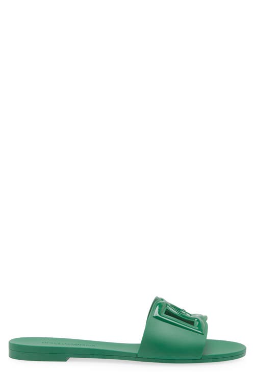 Shop Dolce & Gabbana Dolce&gabbana Bianca Interlock Slide Sandal In Green