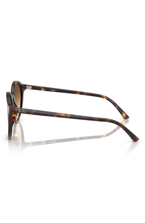 Ray Ban Ray-ban Phantos 53mm Round Gradient Sunglasses In Havana