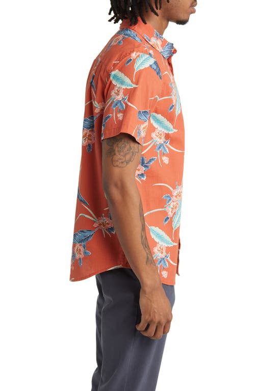 Shop Brixton Charter Regular Fit Tropical Short Sleeve Button-up Shirt In Burnt Red/pacific Blue