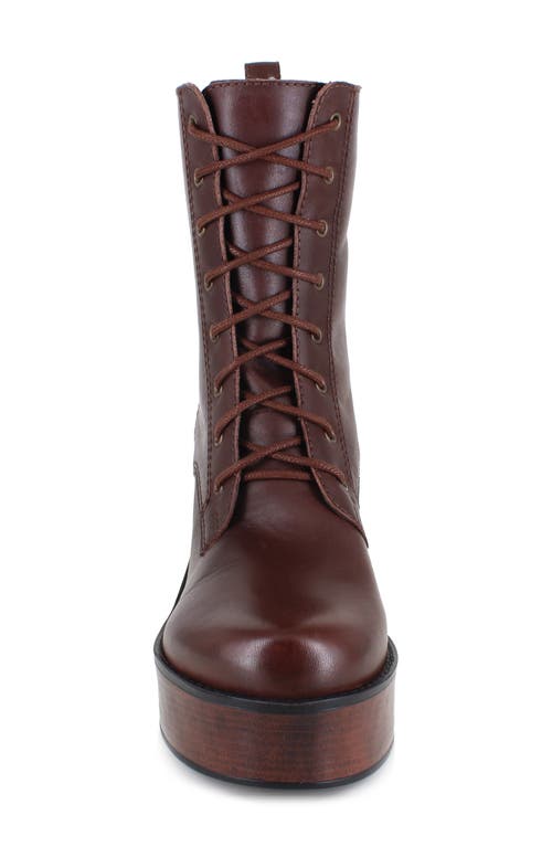 Ziginy Rocio Platform Lace-up Boot In Brown