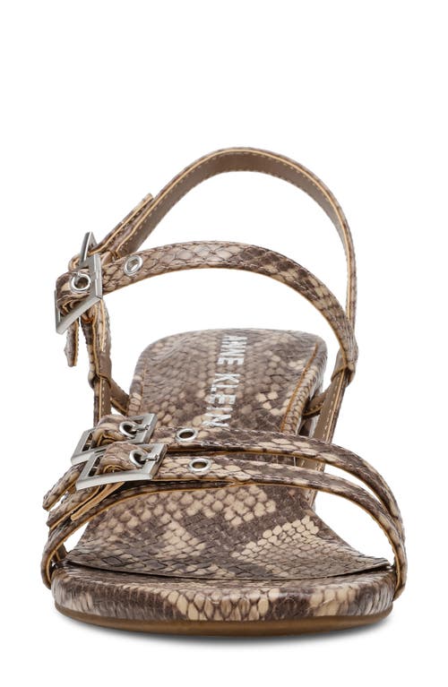 Shop Anne Klein Mackenzie Strappy Sandal In Taupe Snake Print