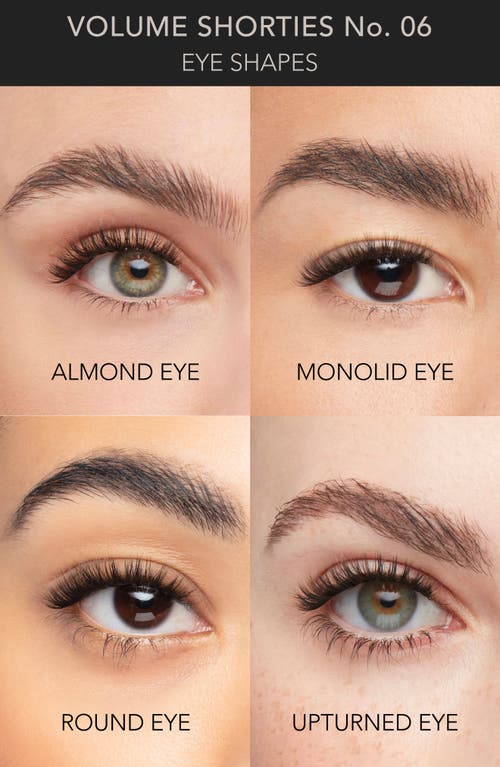 Pro Lash Single False Lash Set In Volume Shorties No. 06
