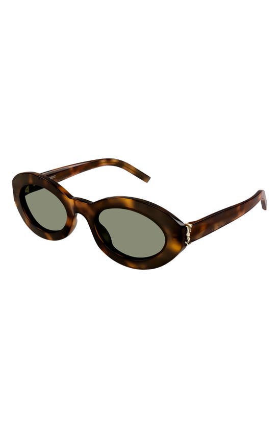 Shop Saint Laurent 52mm Round Sunglasses In Havana