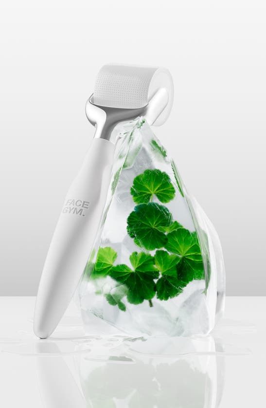 Facegym Hydrating Active Roller 2in1 Microneedling Tool ModeSens