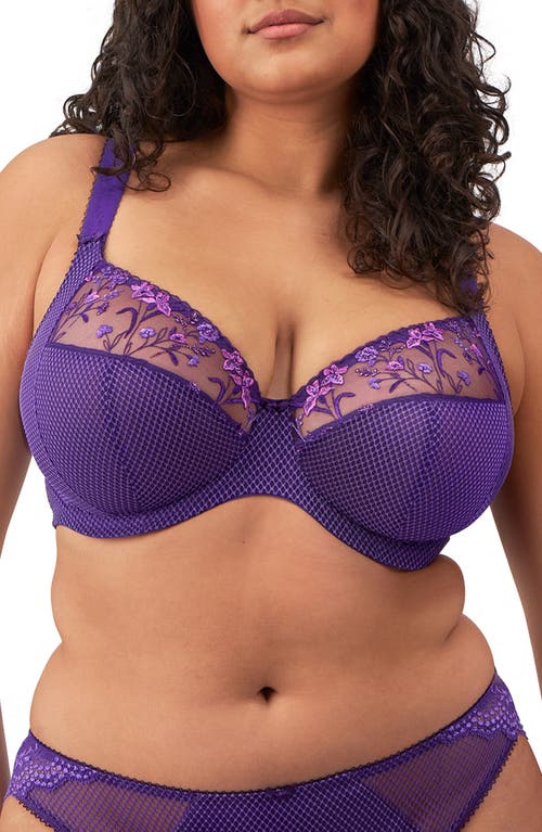 Shop Elomi Charley Full Figure Underwire Plunge Bra In Iris