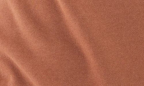 Threads 4 Thought Graphic Hoodie In Pecan