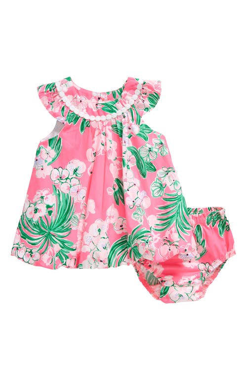 Lilly Pulitzer Paloma Floral Bubble Dress & Bloomers Roxie Pink Worth A Look at Nordstrom,