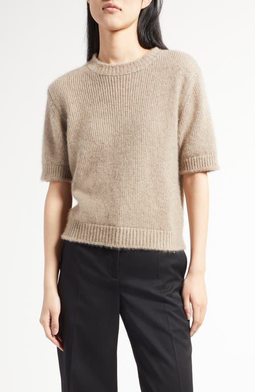 Shop The Row Hibiscus Short Sleeve Cashmere Knit Top In Ancient Sand