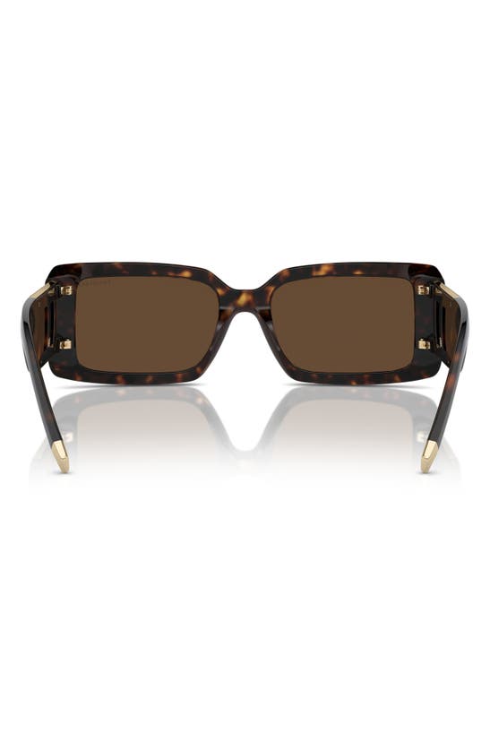 Shop Tiffany & Co 62mm Oversize Rectangular Sunglasses In Havana