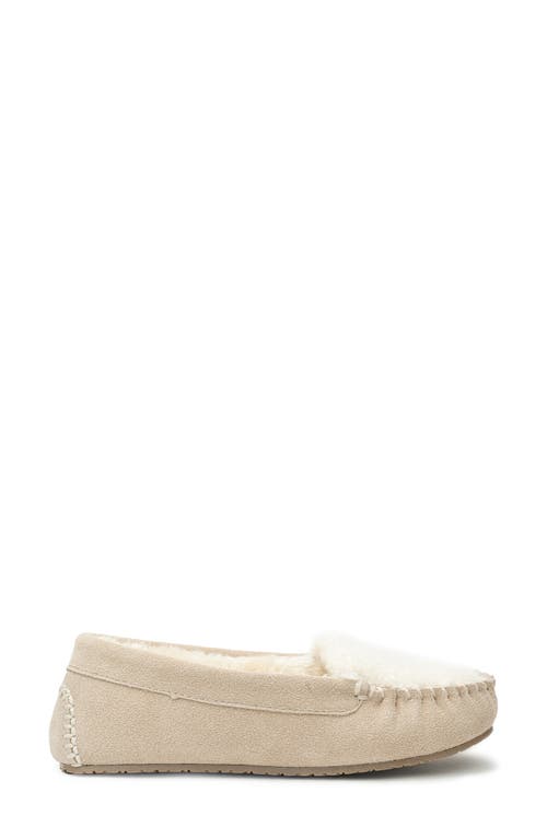 Shop Minnetonka Cosi Slipper In Stone