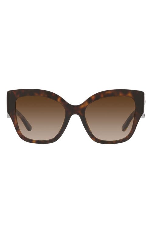Tory Burch 54mm Gradient Butterfly Sunglasses in Dk Tort