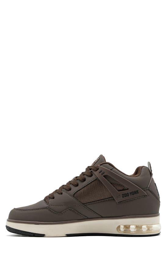 Shop Zoo York All Time Sneaker In Brown