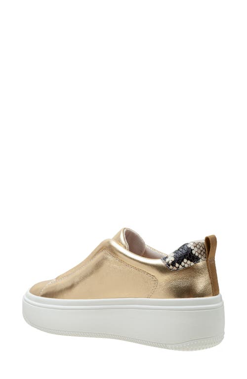 Linea Paolo Golde Platform Sneaker In Dark Gold/natural