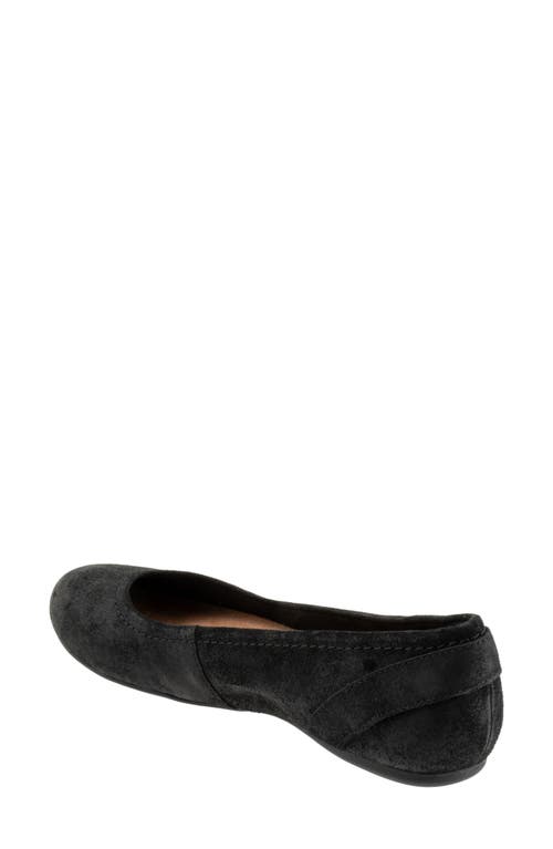 Shop Softwalk ® Sydney Flat In Black Suede