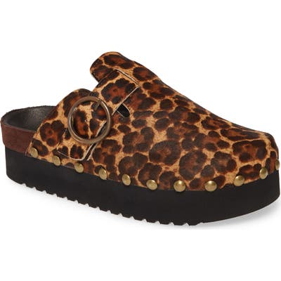 Jeffrey Campbell Osha Genuine Calf Hair Clog, Brown