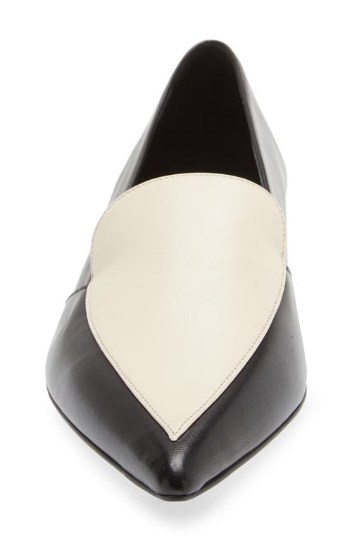 Aeyde Martha Pointed Toe Flat In Black/creamy