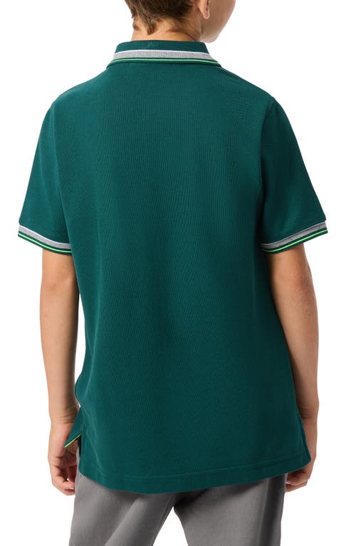 Psycho Bunny Kids' Rockport Pique Polo In Sea Moss