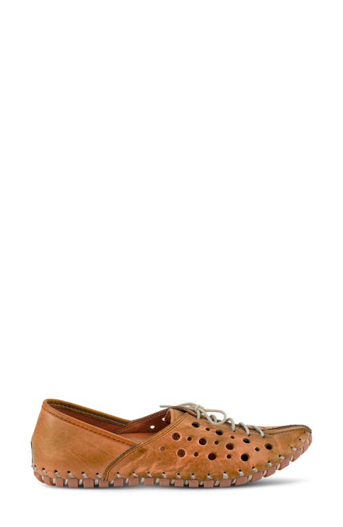 Spring Step Moonwalk Perforated Leather Shoe In Camel