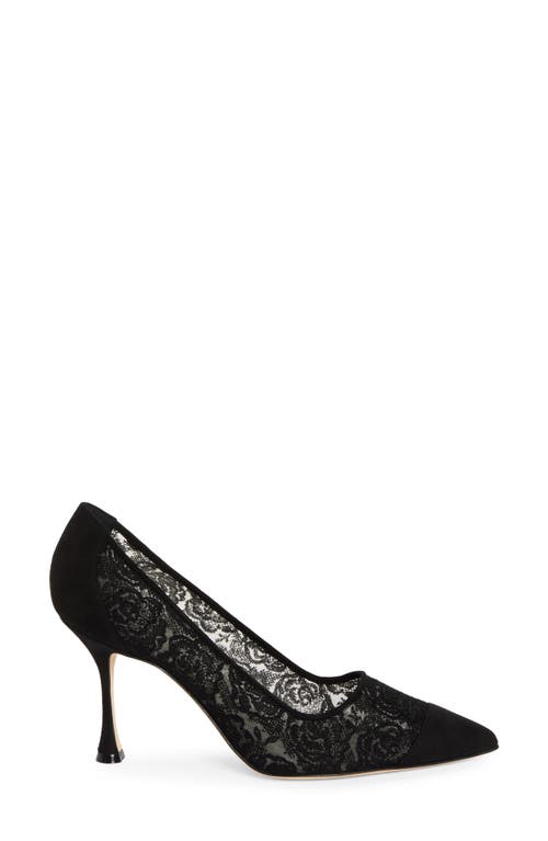 Shop Manolo Blahnik Sololaria Pointed Toe Pump In Black