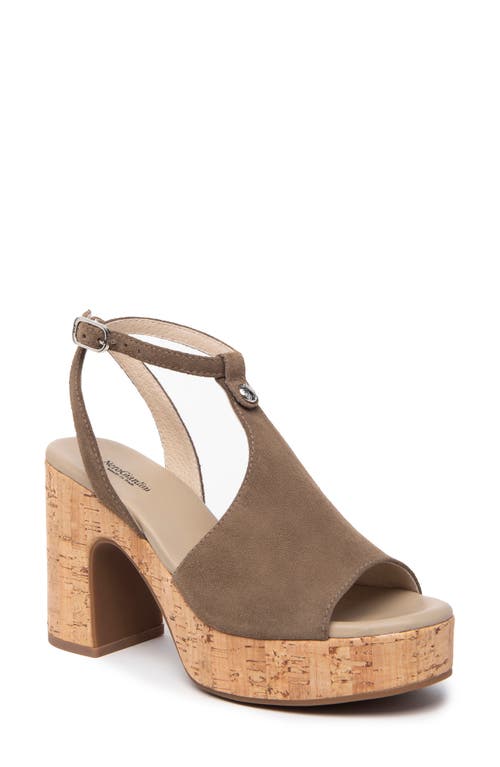 NeroGiardini Ankle Strap Platform Sandal in Taupe at Nordstrom, Size 10Us