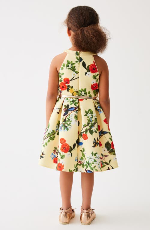 Shop Ted Baker Baker By  Kids' Floral Sleeveless Scuba Dress In Yellow